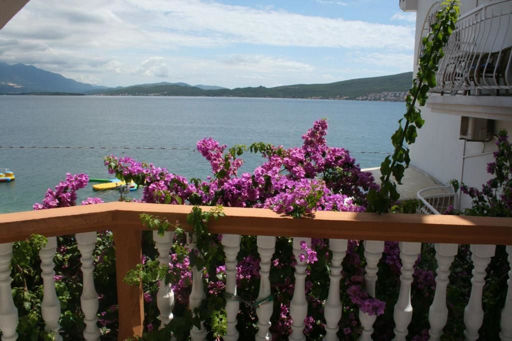 Апартаменты Apartmani Kalinic Биела