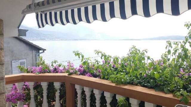 Апартаменты Apartmani Kalinic Биела-58